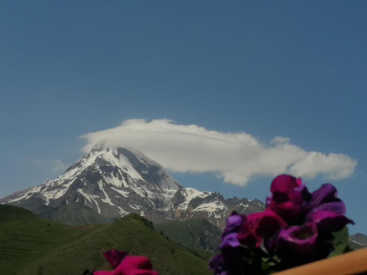 Panorama Cottages Kazbegi Ngoại thất bức ảnh
