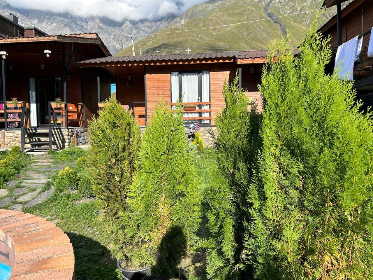 Panorama Cottages Kazbegi Ngoại thất bức ảnh
