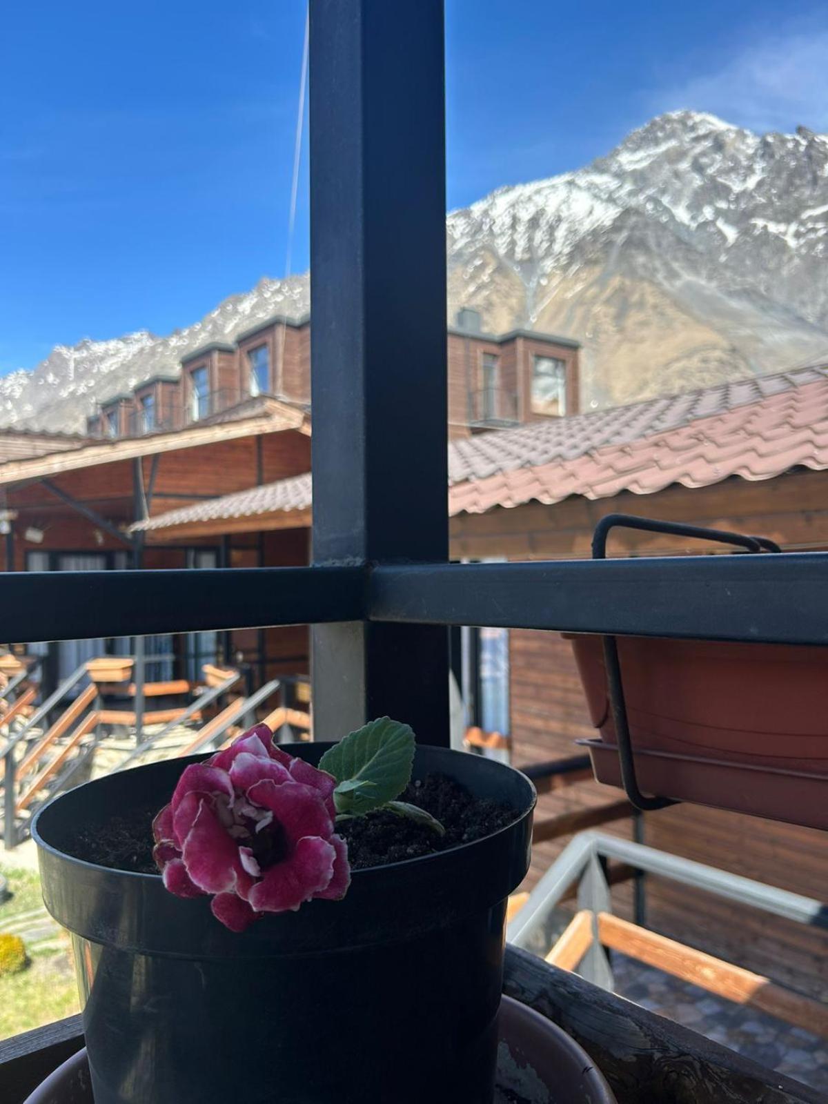 Panorama Cottages Kazbegi Ngoại thất bức ảnh